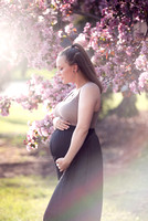 Samantha's Spring Maternity Mini Session Preview